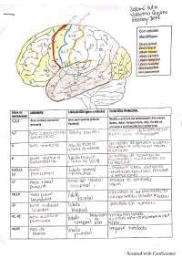 Taller neurociencias