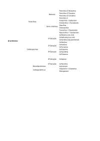 Lista dos principais beta-lactâmicos