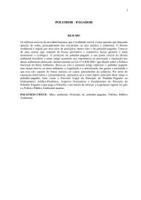 Poluidor Pagador - Um retrato do capitalismo poluidor