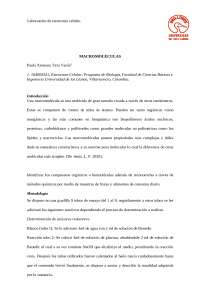 Informe libratorio estructura celular