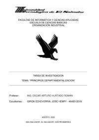 PRINCIPIOS DE LA DEPARTAMENTALIZACION