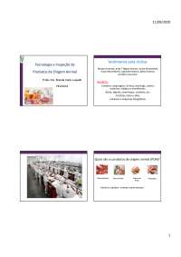 AULA INSPEÇAO CARNES INTRODUÇÃO