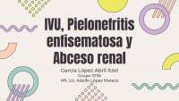 IVU, Pielonefritis enfisematosa y abceso renal