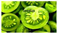 Semillas: Tipos y Características