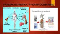 Farmacocinética: Procesos y Mecanismos de Acción de los Fármacos
