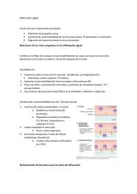 Apuntes de Inflamación aguda