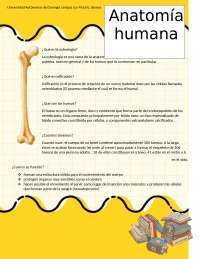 que es la osteologia