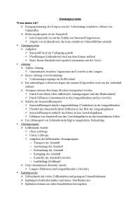 Zusammenfassung Anatomie und Physiologie des Menschen: das Atmungssystem