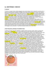 Struttura della retina e fotorecettori - Docsity
