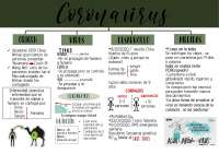 coronavirus mapa conceptual de un video
