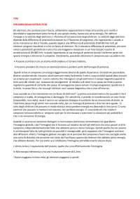 Microscopio elettronico a trasmissione - Docsity