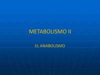 presentacion anabolismo