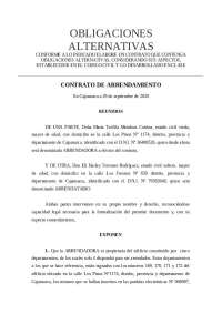 Ejemplo de contrato de obligaciones alternativas