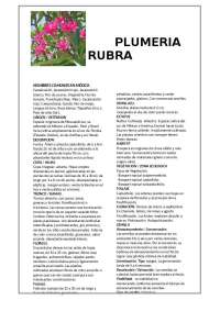 Fichas técnicas de plantas de la región