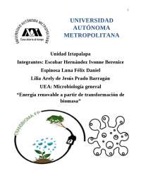 Bioenergía y biomasa: tipos de energías renovables y microorganismos responsables