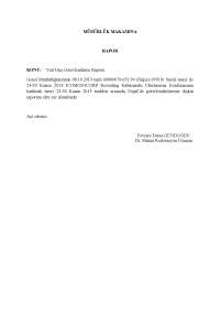 Kathmandu Disaster Management: Analyzing Settlements & Heritage