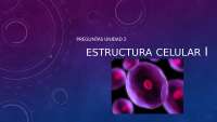 Estructura Celular I: Preguntas y Respuestas sobre la Unidad 2