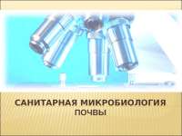 Курсовая работа по теме Исследование бактерий по почвенному профилю дерновой альфегумусовой глеевой почвы Курсовая работа по теме Исследование бактерий по почвенному профилю дерновой альфегумусовой глеевой почвы