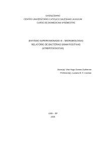 Relatório Bactérias GRAM positivas (Streptococcus)