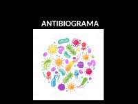 Antibiograma Aula completa