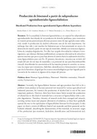 Producción de bioetanol a partir de subproductos agroindustriales