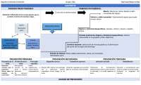 HISTORIA NATURAL DE LA ENFERMEDAD (GASTRITIS)