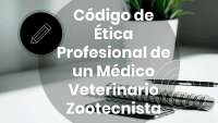Ética Profecional del mvz