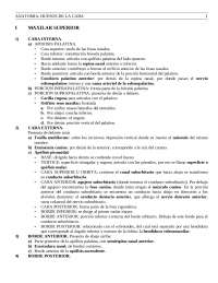 Anatomía del Maxilar Superior: Caras Interna y Externa