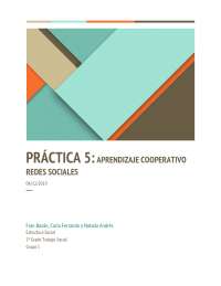 estructura social UA