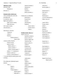 Important Blood Vessels Anatomy 1