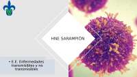 historia natural de la enfermedad sarampión