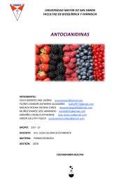ANTOCIANIDINAS Y SUS HETEROSIDOS