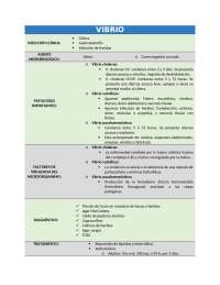 VIBRIO RESUMEN DE ESTUDIO