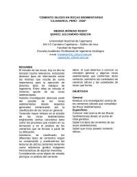 CEMENTO SILICEO EN ROCAS SEDIMENTARIAS