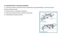 Paleontologia e Evolução Orgânica