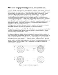 MODOS DE PROPAGACION EN GUIAS DE ONDAS CIRCULARES