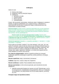 Antifúngicos farmacologia