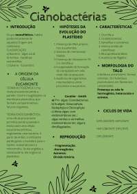 Sistemática das Plantas: Cianobactérias