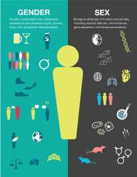 Infographic Gender and Society