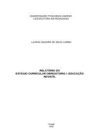 Portfólio Educação Infantil - Covid-19