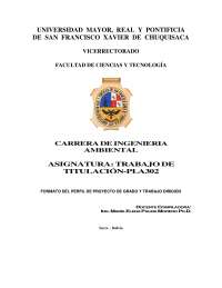 Formato de perfil de grado dos