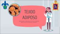 Tejido adiposo- histologia