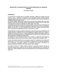 IDENTIFICACIÓN Y PLANEACIÓN PARA EL CULTIVO DE CRISANTEMO EN EL MUNICIPIO DE RIONEGRO