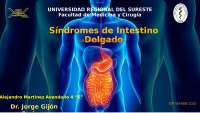 Síndromes Intestinales: Tipos, Causas y Diagnóstico
