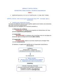 TEMA 1 - CAPITAL SOCIAL - MCAD