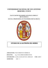 informe 4 de tratamientos termicos