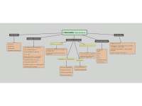 Mapa conceptual de Neisseria Gonorrohoea