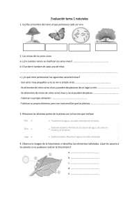 Preguntas de examen ciencias naturales 4º primaria