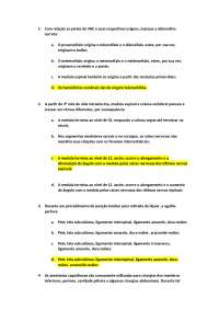 Exercícios de Anatomia: Sistema Nervoso Central e Cardiovascular