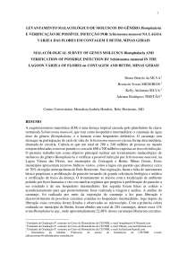 Caramujos Biomphalaria infectados por Schistosoma mansoni em Contagem e Betim, MG